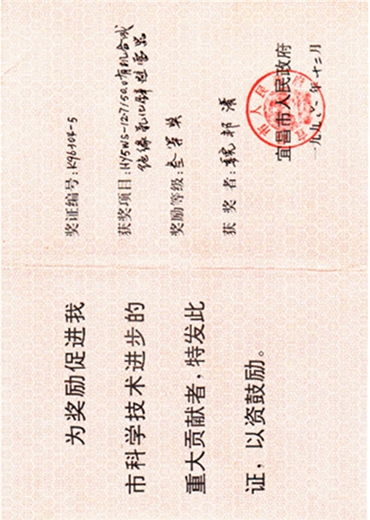 重大貢獻(xiàn)獎(jiǎng)